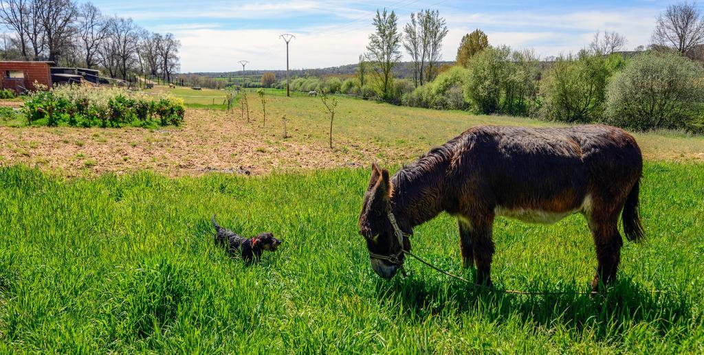 Hotel El Molino Congosta エクステリア 写真